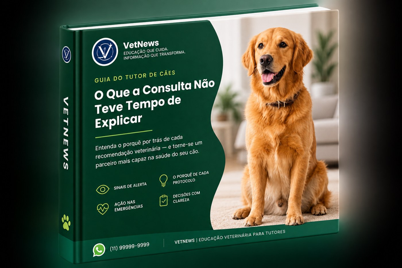 O Que a Consulta Não Teve Tempo de Explicar